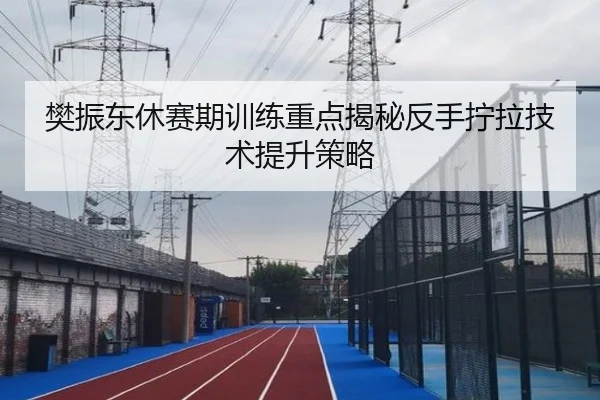 樊振东休赛期训练重点揭秘反手拧拉技术提升策略