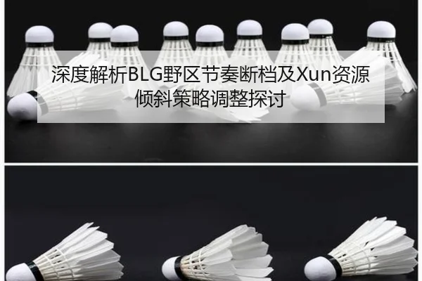 深度解析BLG野区节奏断档及Xun资源倾斜策略调整探讨